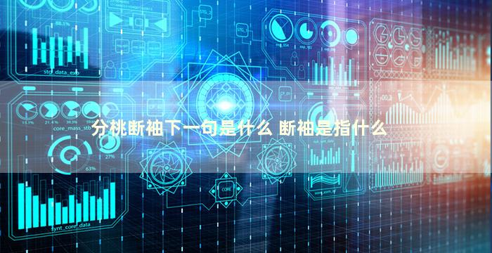 分桃断袖下一句是什么 断袖是指什么